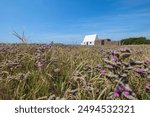 Low angle view of Le Don Hilton, known as the white house, is an old guard house at the centre of St Ouen