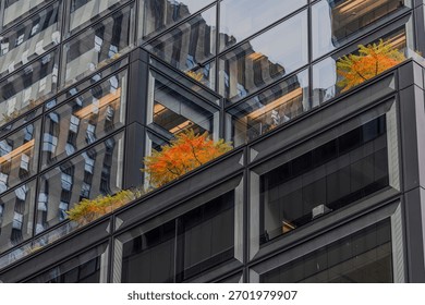 A low angle view looking up at a tall skyscraper, covered in glass. Taken on a sunny day with bright orange, yellow and green trees, seen on an upper deck.