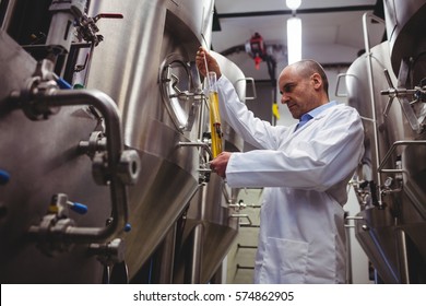 Low angle view of manufacturer examining beer at brewery - Powered by Shutterstock