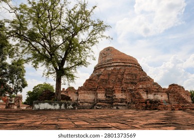 Low angle view of a massive ancient ruined brick stupa at Wat Kudi Dao in Ayutthaya, Thailand. A large green tree stands beside the historic structure on a brick-paved courtyard under cloudy blue sky