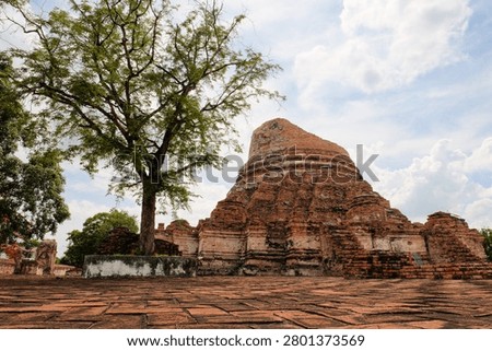 Low angle view of a massive ancient ruined brick stupa at Wat Kudi Dao in Ayutthaya, Thailand. A large green tree stands beside the historic structure on a brick-paved courtyard under cloudy blue sky