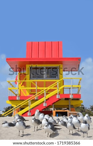 Low angle view of Miami Beach seagulls resting on the beach in front of one of the iconic beach cabin against the backdrop of the art deco buildings
