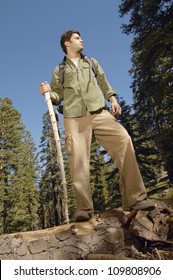 Low Angle View Of Mid Adult Man Standing On Tree Trunk