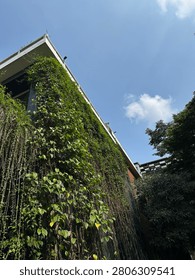 Low angle view of a modern building facade covered with lush green climbing plants and ivy under a clear blue sky.