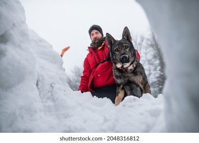 Low Angle View Of Mountain Rescue Service Man With Dog On Operation Outdoors In Winter In Forest, Digging Snow.