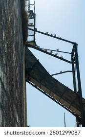 A low angle view of numerous pigeons resting on the aged metal frame of an old conveyor or loading chute adjacent to a large, textured stone wall near the harbour area. Charletown, United Kingdom.