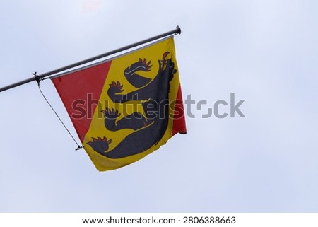 Low angle view of the official flag of the Canton and city of Bern featuring the black bear symbol waving in the wind. Clear minimalist composition against a bright overcast sky background with copy space. Swiss heraldry and regional identity concept