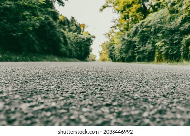 Low Angle View On An Asphalt Road Leading To An Unknonwn Point In The Forest. Diminishing Perspective. Selective Focus. Copy Space.