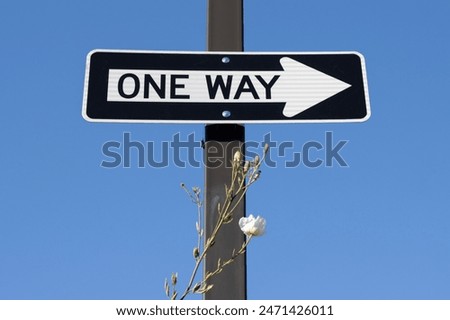 Low angle view of a ONE WAY street sign against a clear blue sky background.