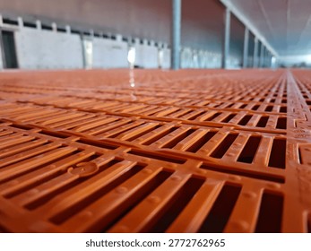 Low angle view of orange plastic slatted flooring panels installed in pig farm interior with long perspective and drainage slots. Livestock farming, agriculture equipment, animal housing.