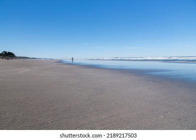 Low Angle View Over The Wide Kalaloch Beach During Low Tide On Coastal Stretch Of Olympic National Park, WA, USA With Some People In Far Distance Against A Clear Blue Sky