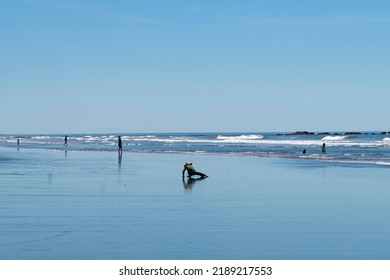 Low Angle View Over Wide Kalaloch Beach On Coastal Stretch Of Olympic National Park, WA, USA With People In The Surf Of The Ocean And Single Person With Hat In Wet Sand Performing Stretching Exercise