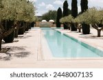 Low angle view of palm tree and white building against blue sky at the old town of Ibiza, Spain. Travel, mediterranean and vacation concept.