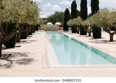 Low angle view of palm tree and white building against blue sky at the old town of Ibiza, Spain. Travel, mediterranean and vacation concept.