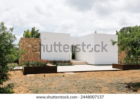 Low angle view of palm tree and white building against blue sky at the old town of Ibiza, Spain. Travel, mediterranean and vacation concept.