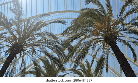 Low angle view of palm trees beneath a modern white architectural canopy with curved beams and vertical lines against a clear blue sky.
