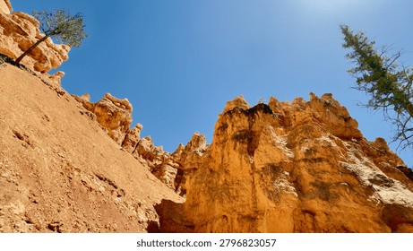 Low Angle View of Pine Tree Growing Inside Red Rock Hoodoos in Bryce Canyon. A spectacular look up perspective from inside bright red and orange canyon walls where a lone pine tree unexpectedly grows towards the blue sky. Concept of resilience and hidden nature beauty.