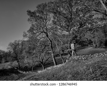 Imagenes Fotos De Stock Y Vectores Sobre Old Hunting Cabin