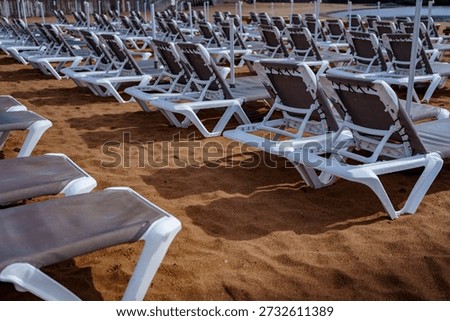 Low angle view of rows of sunbeds on sandy beach, no people, vacation concept.