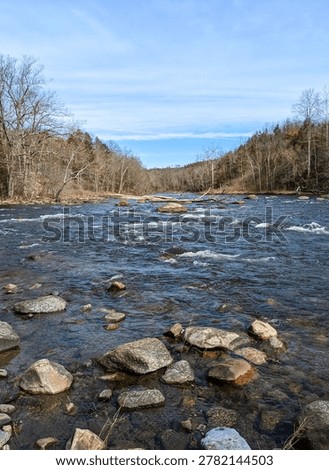 Low angle view of rushing river rapids and bare forest under clear blue sky