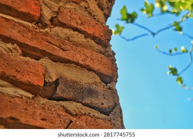 Low angle view of a rustic red brick wall with blue sky and green tree branches in the background. Close-up of unfinished red clay brick wall corner with mortar against a clear blue sky and blurry green leaves. Copy space.