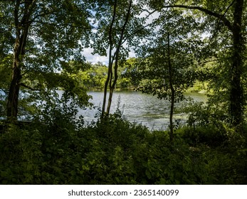 A low angle view in the shadow of tall green trees and bushes with a calm river in the background, which is visible through the trees. Taken on a sunny day with a drone in upstate New York.