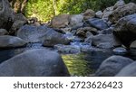 Low angle view of shallow stream flowing between smooth stones in a forest, highlighting fresh water movement and peaceful natural textures.