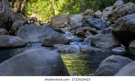 Low angle view of shallow stream flowing between smooth stones in a forest, highlighting fresh water movement and peaceful natural textures.