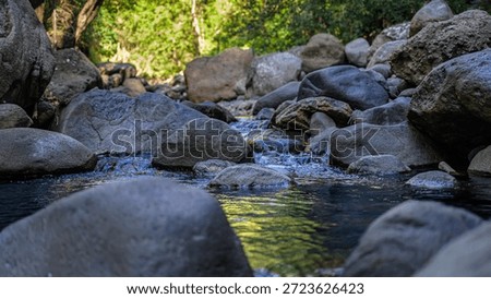 Low angle view of shallow stream flowing between smooth stones in a forest, highlighting fresh water movement and peaceful natural textures.