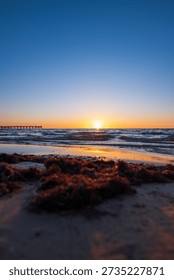 Low angle view shows sunset over gentle waves, wet sand, and dark seaweed. Palanga Pier extends left into water on Lithuania coast, under warm golden light.