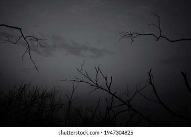 Desespoir Images Photos Et Images Vectorielles De Stock Shutterstock