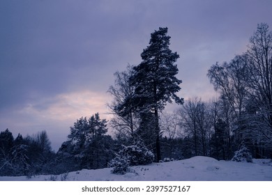Low angle view of silhouette trees against clear blue sky
