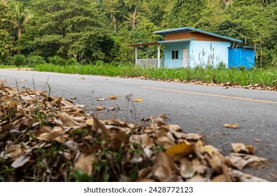 Low angle view of a small blue house nestled amidst a forest on the edge of a mountain near a paved road with clumps of dead leaves piled on the side in a rural Thai area.