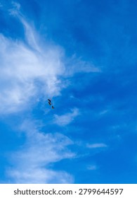 Low angle view of a small flock of birds soaring through a beautiful, bright blue sunny sky