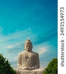 Low angle view of a statue of Buddha, The Great Buddha Statue, Bodhgaya, Gaya, Bihar, India