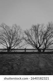 Low angle view of a stone wall in black and white