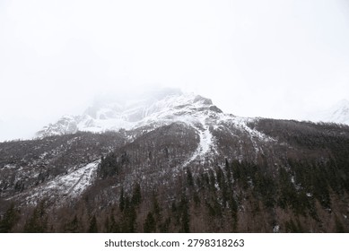 A low angle view of a tall, imposing mountain peak blanketed in white snow and shrouded in thick mist, rising above a steep hillside dense with winter pine and bare deciduous trees.