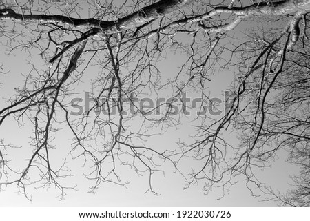 Similar – Image, Stock Photo chill Water Winter Ice