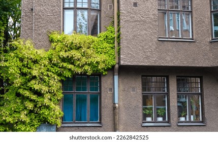 Low angle view of tree and building