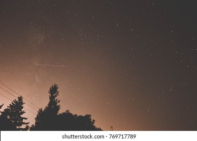 Low Angle View Of Trees Against Star Field In Sky