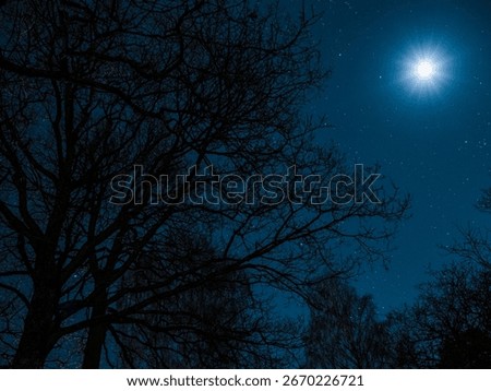 Low angle view of trees and moon at night