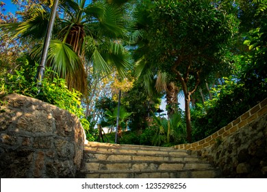 low angle view of of tropical trees and palms in park against blue sky, Antalia Turkey