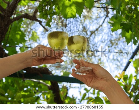Low angle view of two hands clinking glasses of chilled white wine in a toast under a grapevine with green grapes in a sunny vineyard