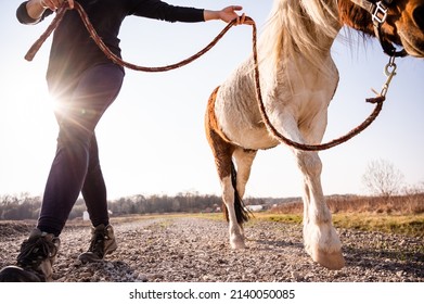 Low Angle View Of Unrecognizable Woman And Her Beautiful Pony Walking Toward Camera On A Beautiful Sunny Springtime Day With The Sun Behind Them. Female Trainer Leading Little Horse On A Leash. 