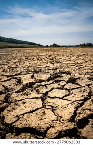 Low angle view of vast, sun-baked, cracked mud earth under a bright blue sky. Extreme drought, climate change impact, and environmental disaster concept in rural landscape.