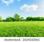 Low angle view of vibrant green grass with lush trees and a blue sky with white clouds