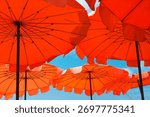 Low angle view of vibrant red and orange beach umbrellas with clear blue sky in background on sunny summer day. Relaxation, vacation, holiday concept