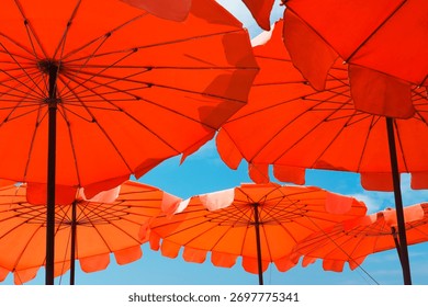 Low angle view of vibrant red and orange beach umbrellas with clear blue sky in background on sunny summer day. Relaxation, vacation, holiday concept