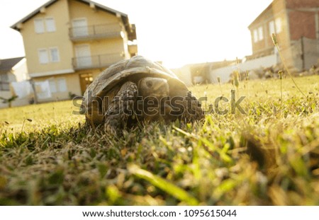 Similar – Foto Bild Aufbruchsstimmung Sommer