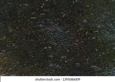 Low Angle View Of Wet Asphalt Pavement After Rainfall. Slight Blur Due To Angle Of Camera.